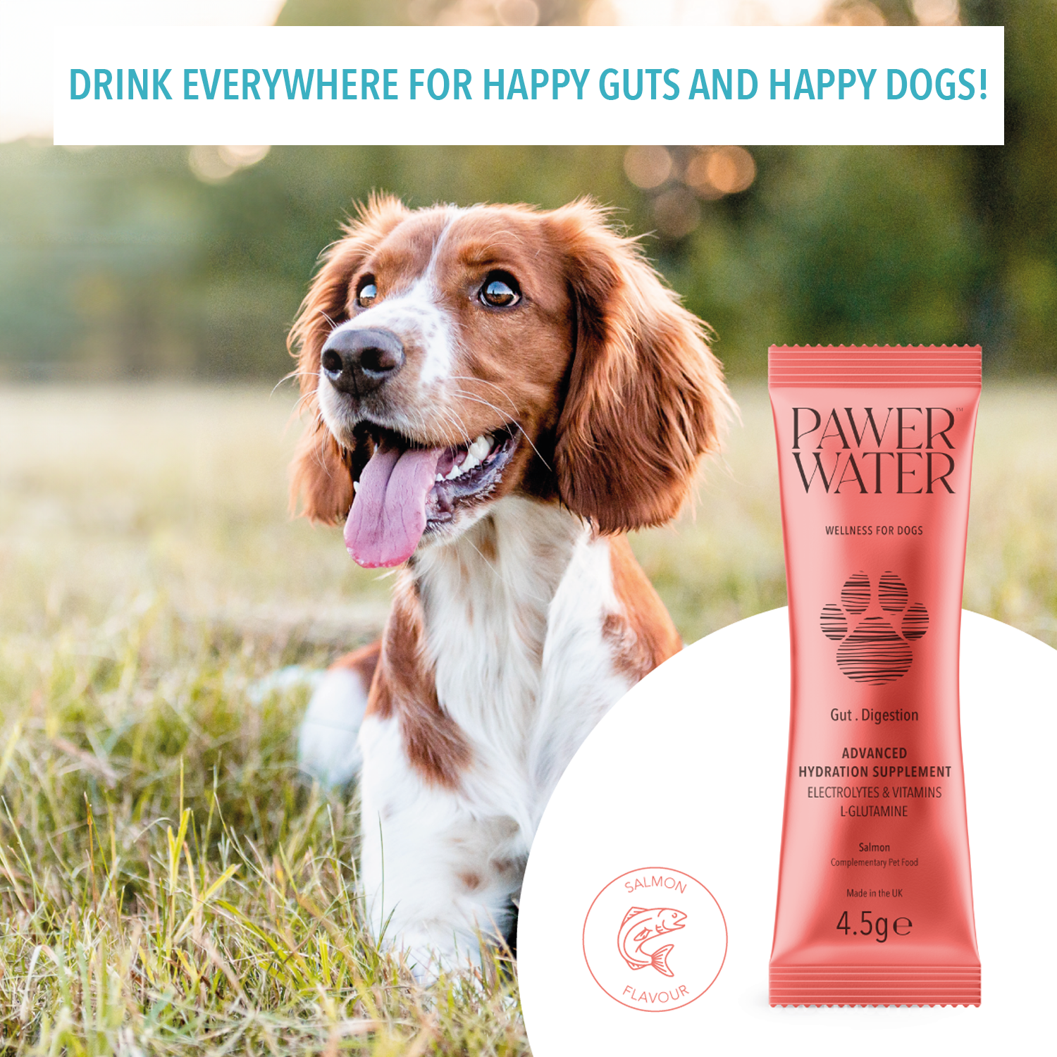 Pawer Water Gut Support (5-sticks Pouch)