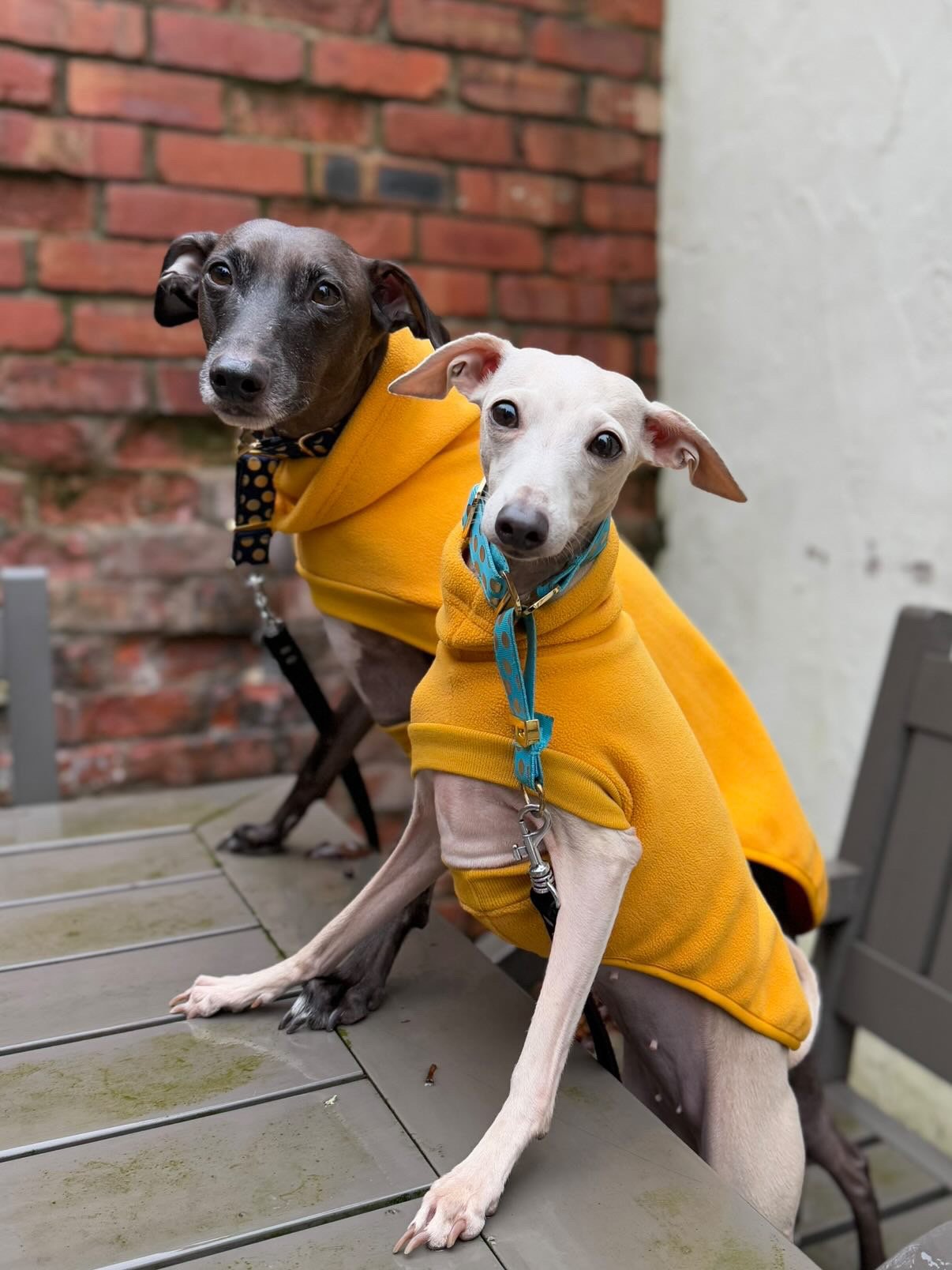 Open-Leg Fleece Vest - Coral