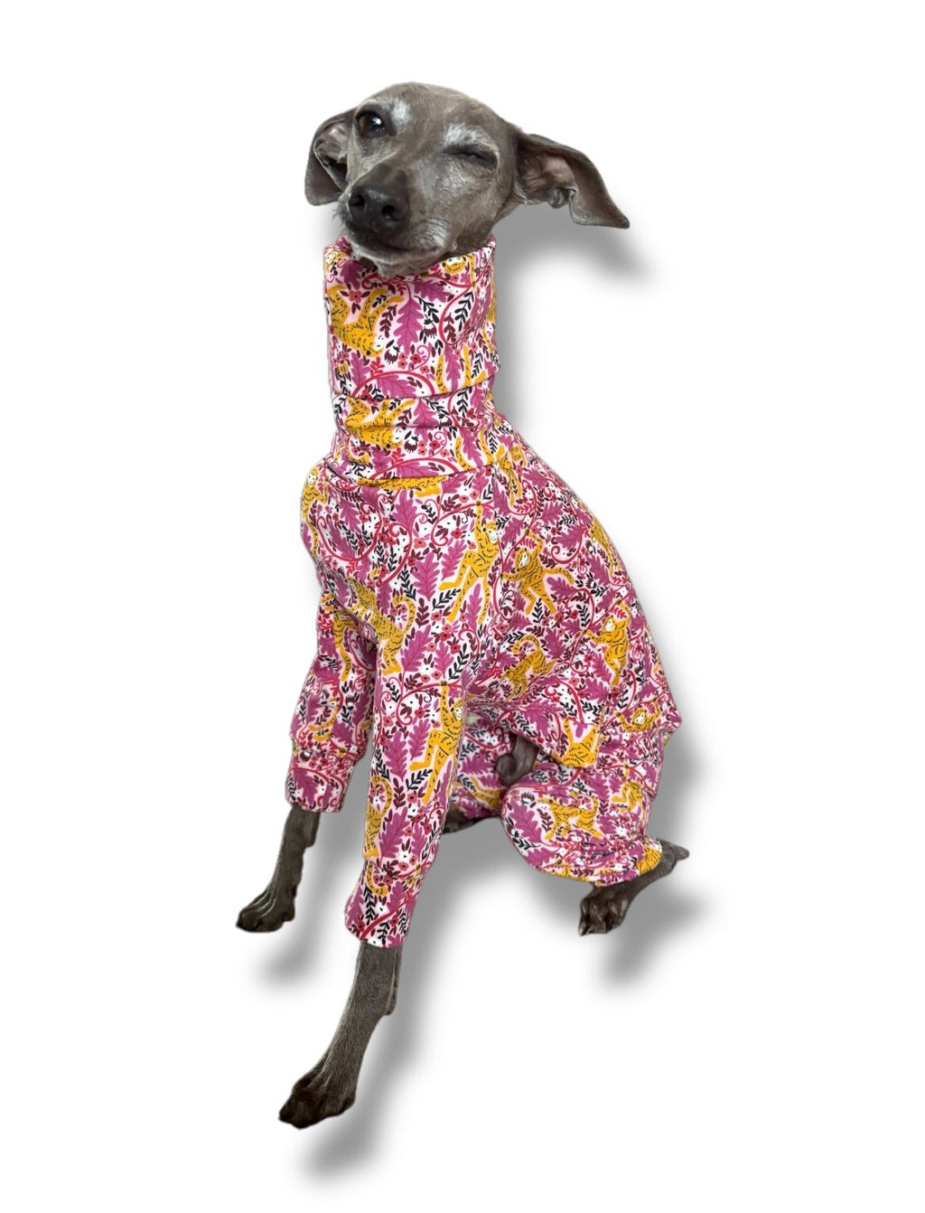 Dog wearing a pink and yellow floral outfit on a white background