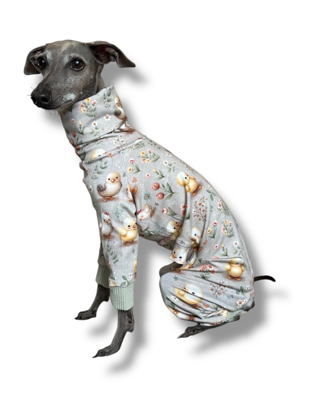 Jersey Suit - Easter Chicks Sage