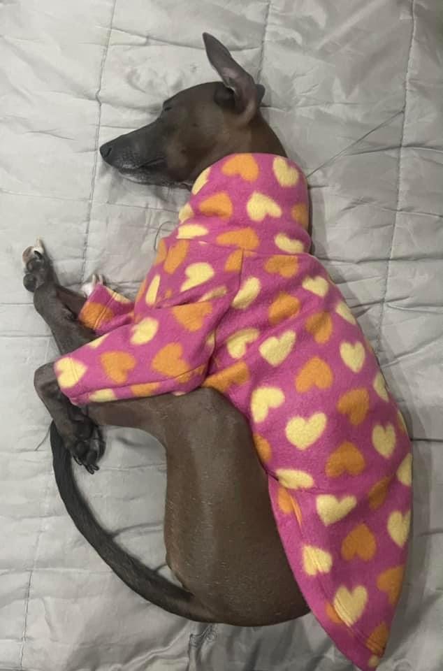 Fleece Jumper - Blue Morris