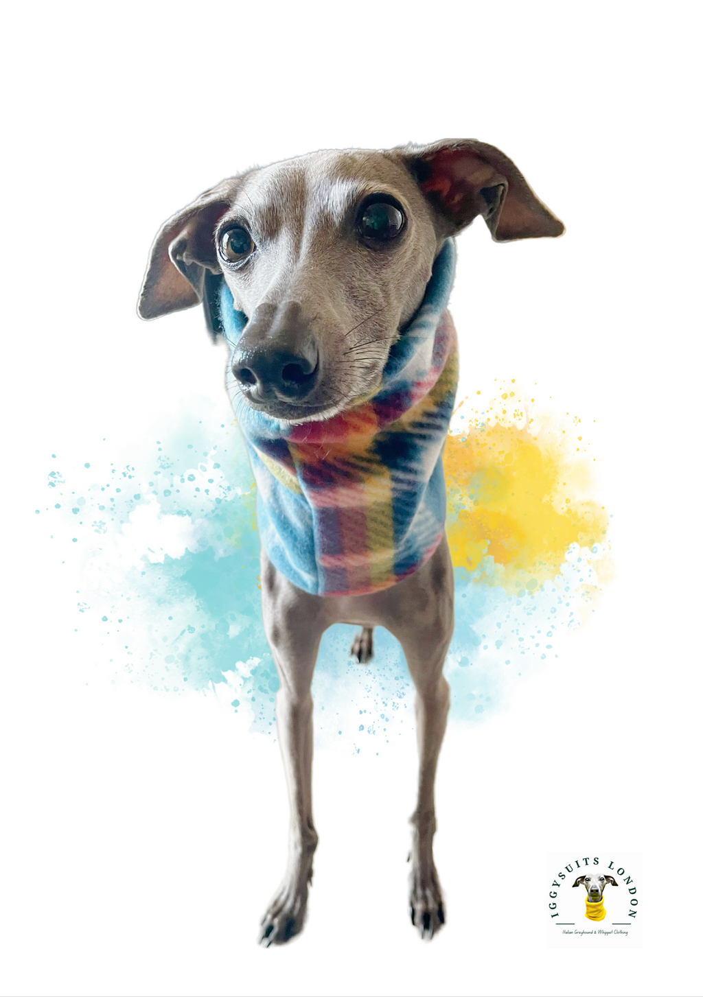 Dog wearing a colorful sweater with a watercolor background
