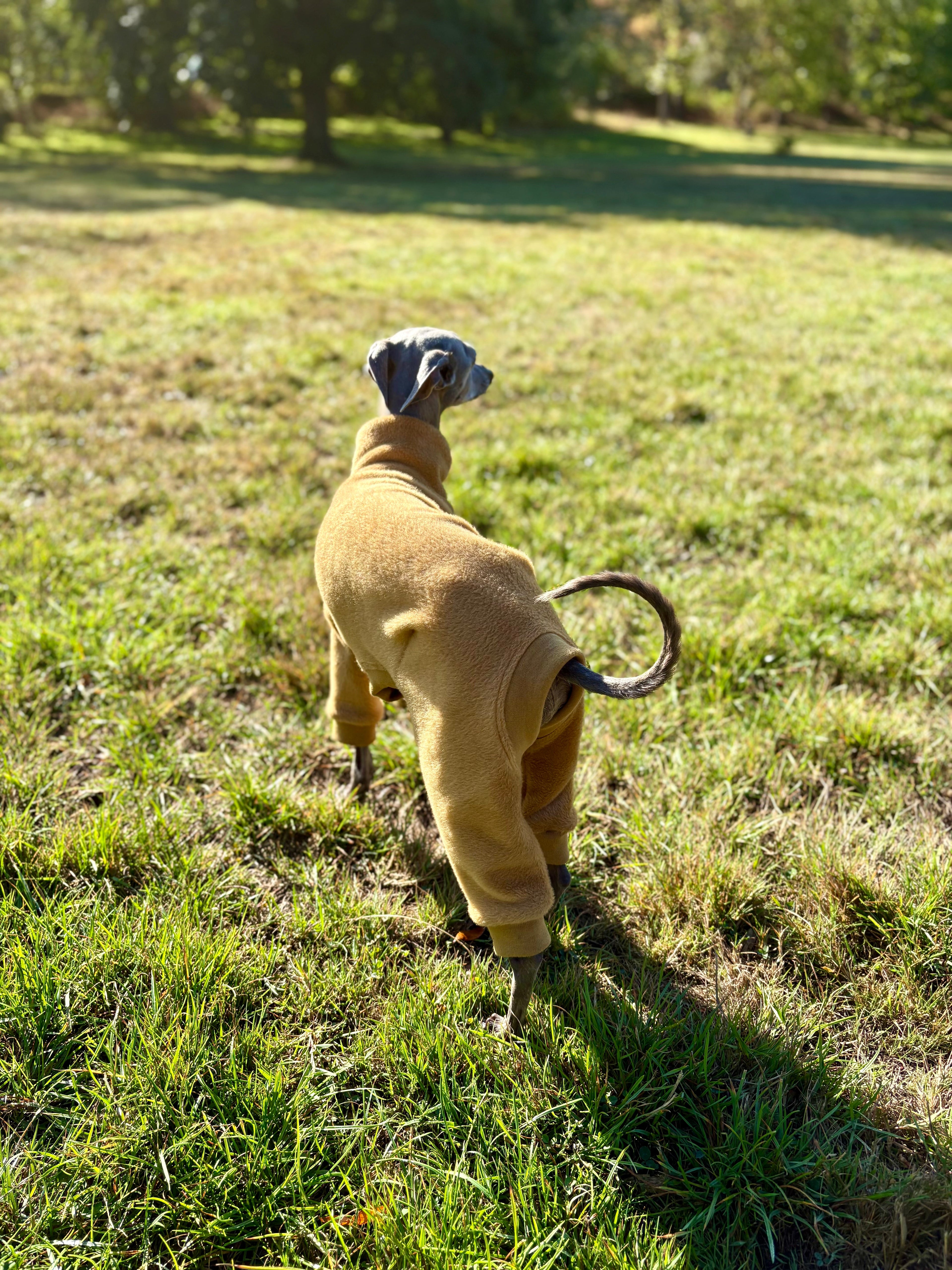 Fleece Lined Sweatshirt - Honey Yellow