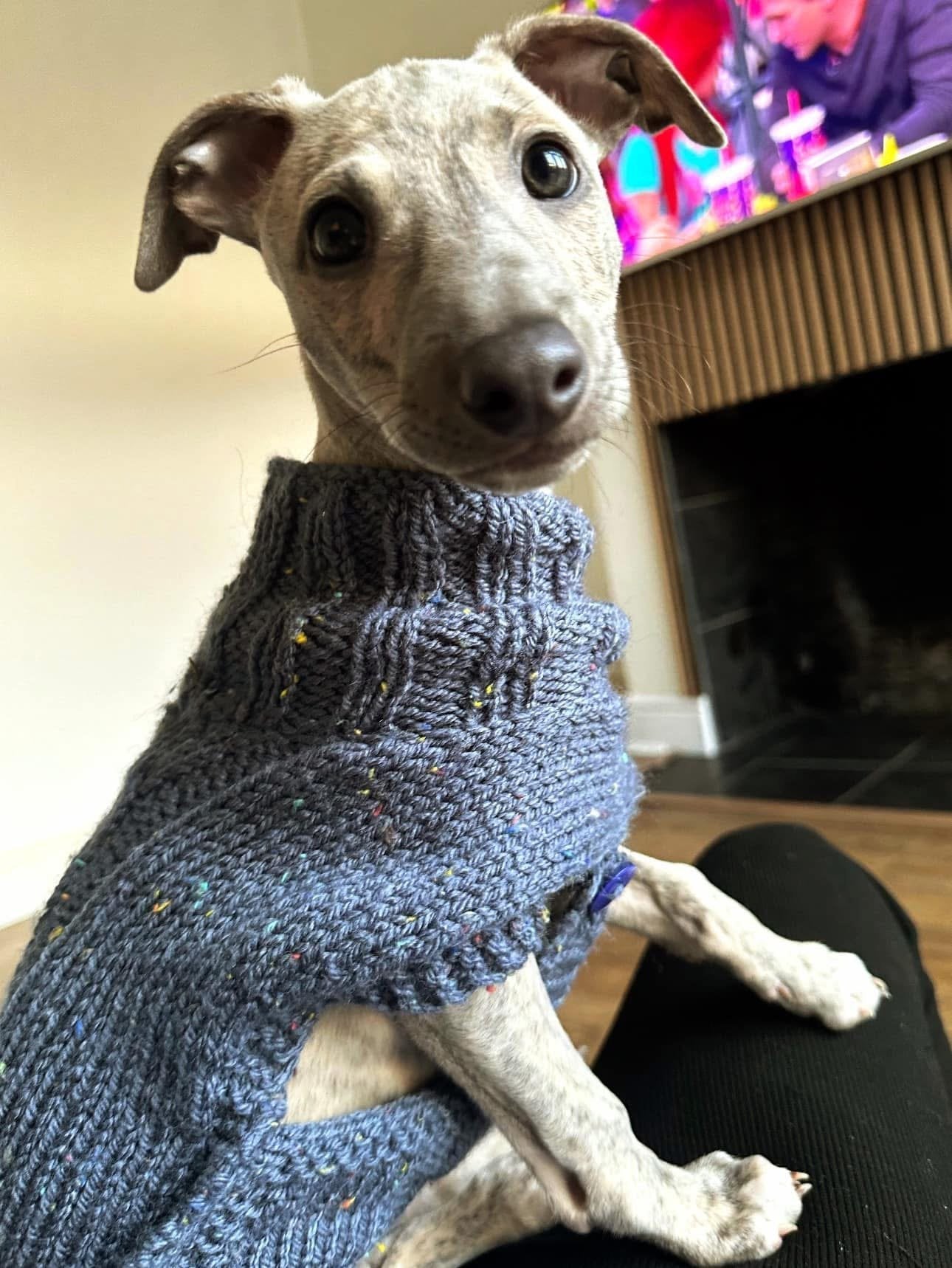 Knitted Coat - Button Up - Monochrome