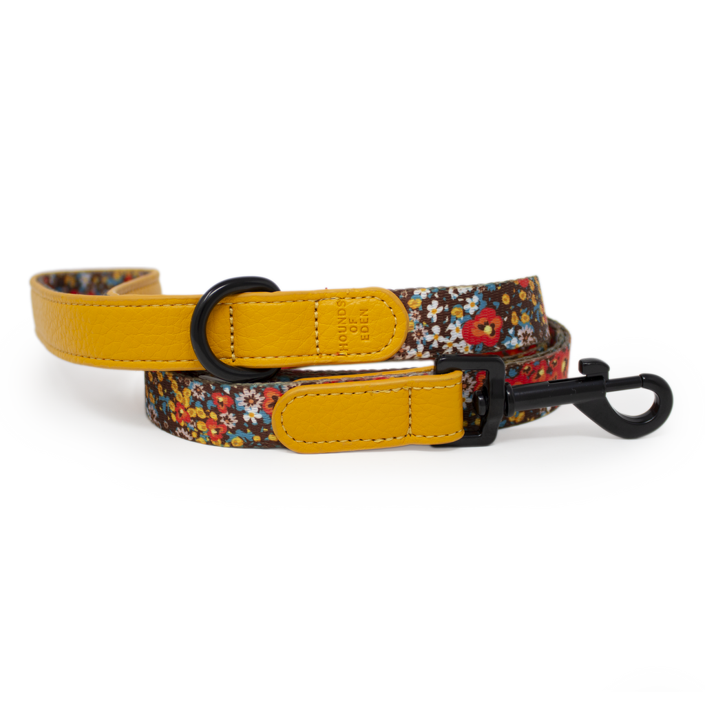 Retro Bloom Leather Dog Lead
