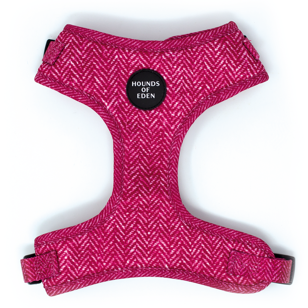 Vibrant pink herringbone Bella dog harness with Hounds of Eden logo