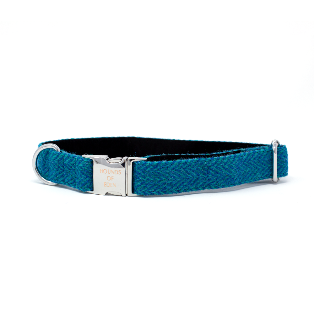 Teal herringbone Bruce dog harness with silver buckle and D-ring