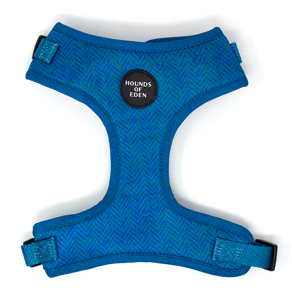 Blue herringbone dog harness Bruce with Hounds of Eden patch