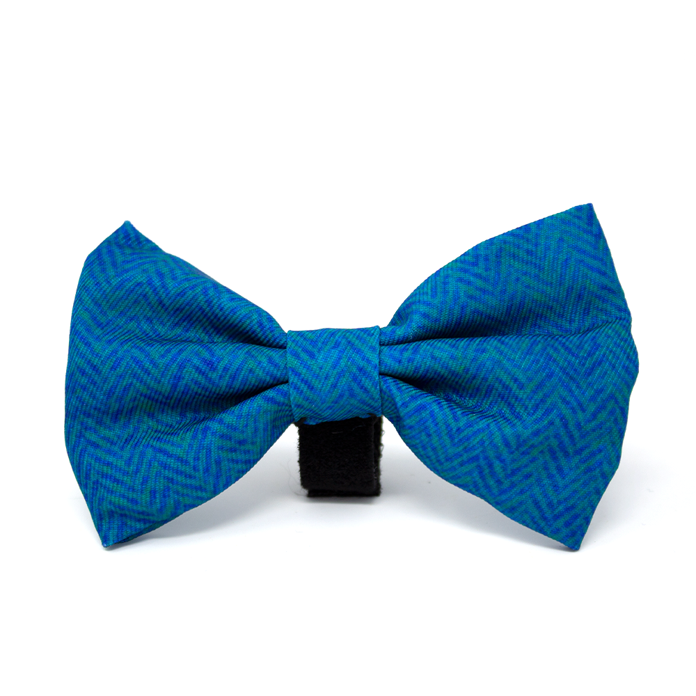 Bruce blue teal herringbone dog harness with bow tie