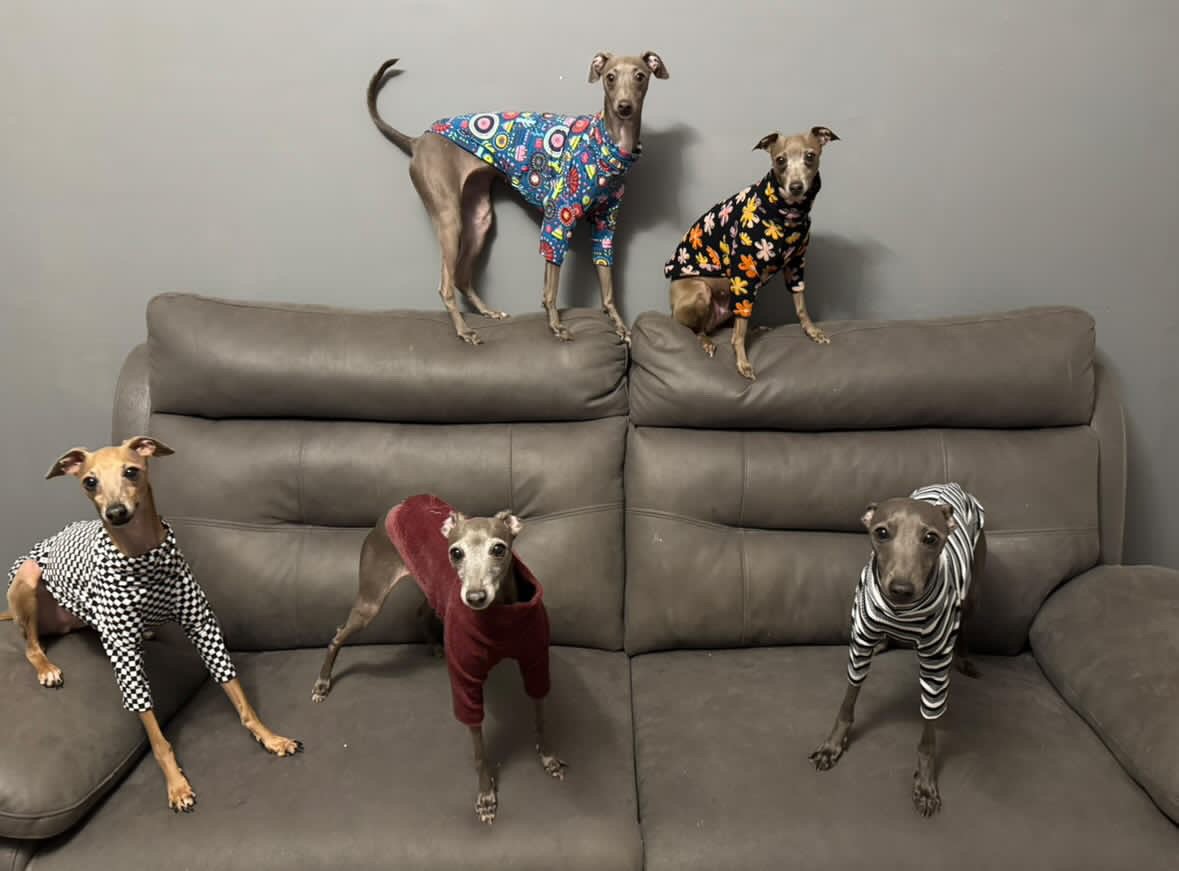 Jersey T-Shirt- Blue Cactus Folk Pattern