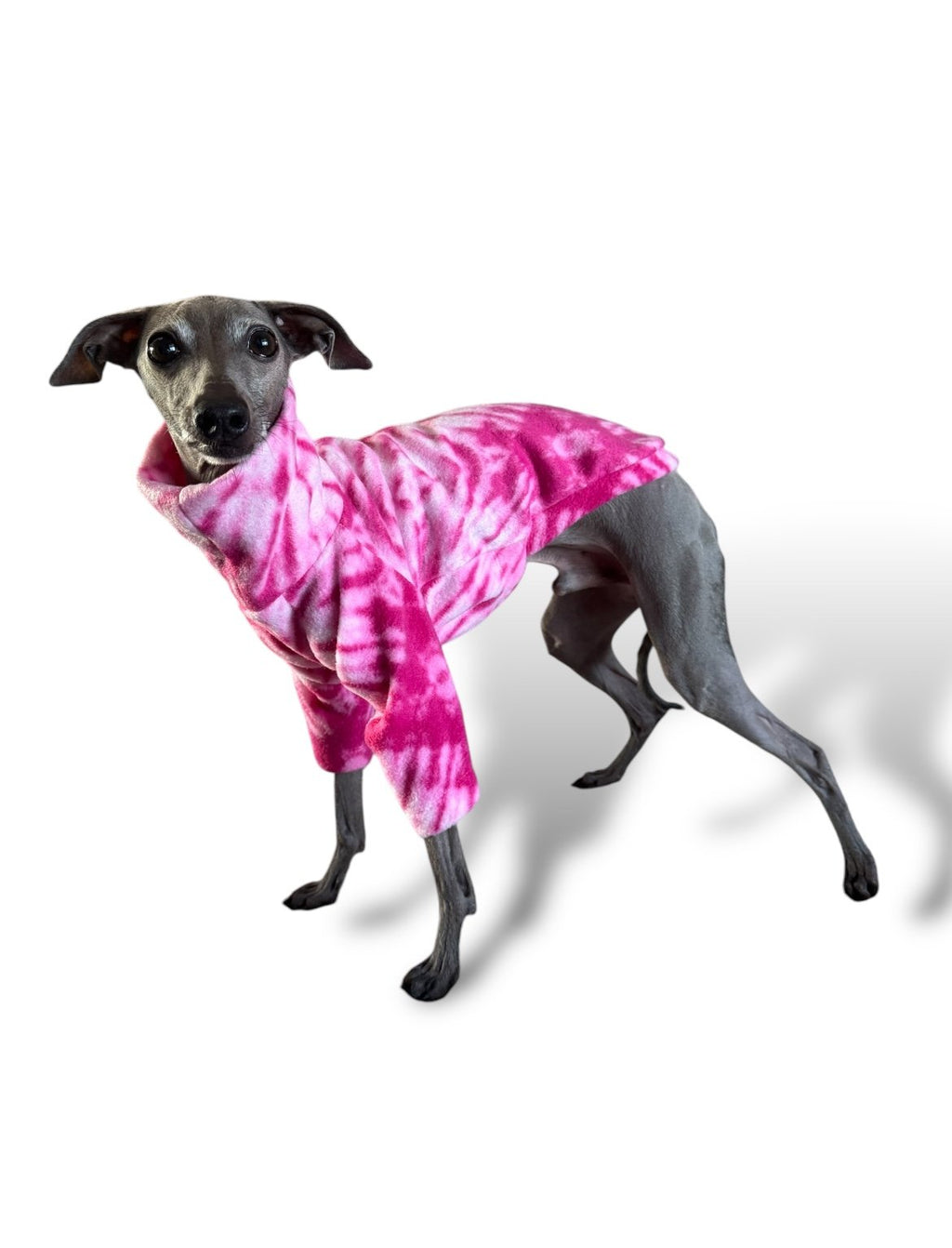 Dog wearing a pink tie-dye shirt on a white background