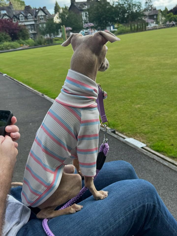 Ribbed Jersey T-Shirt - Pink & Blue Stripe