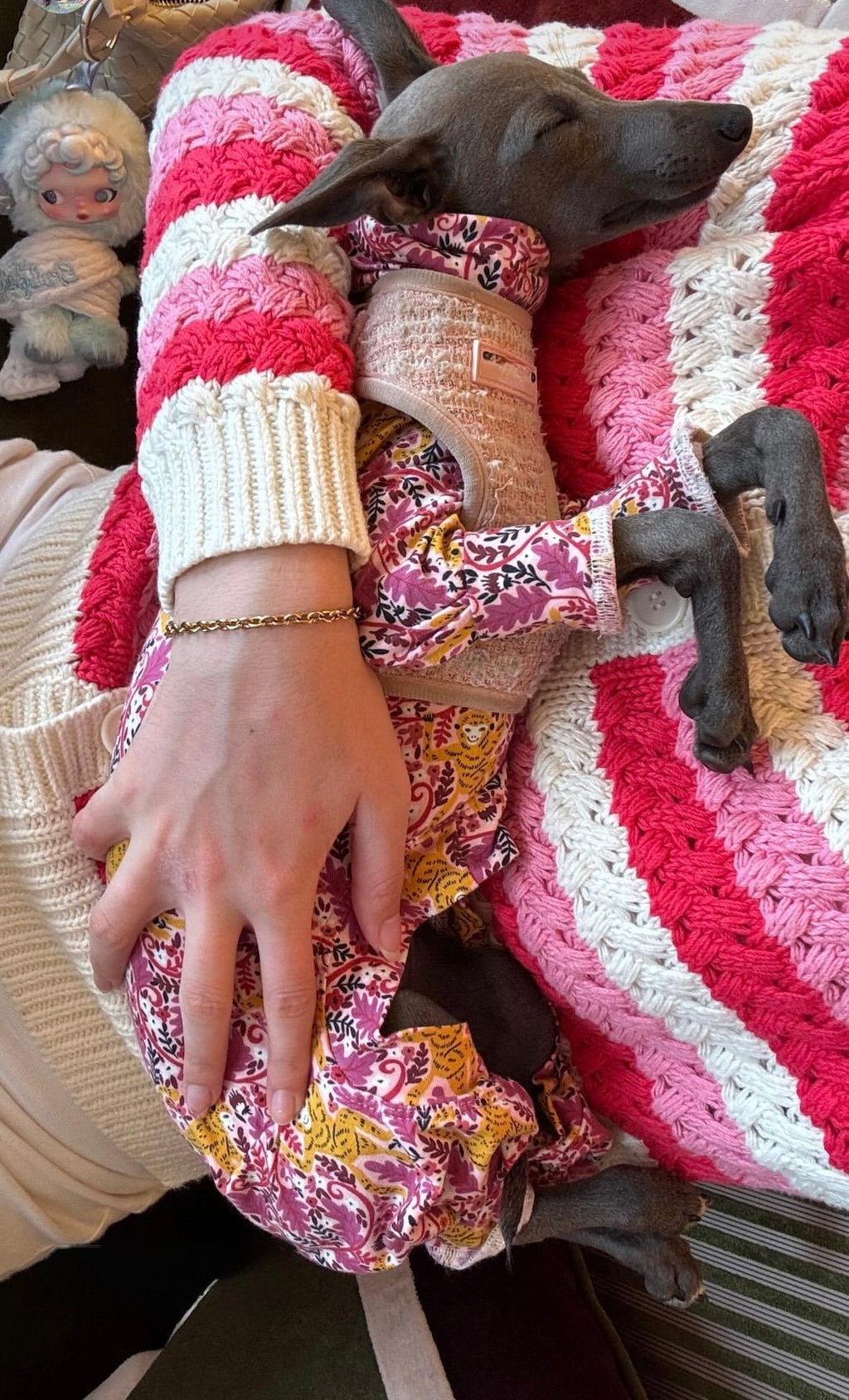 Jersey Suit - Cheeky Monkey