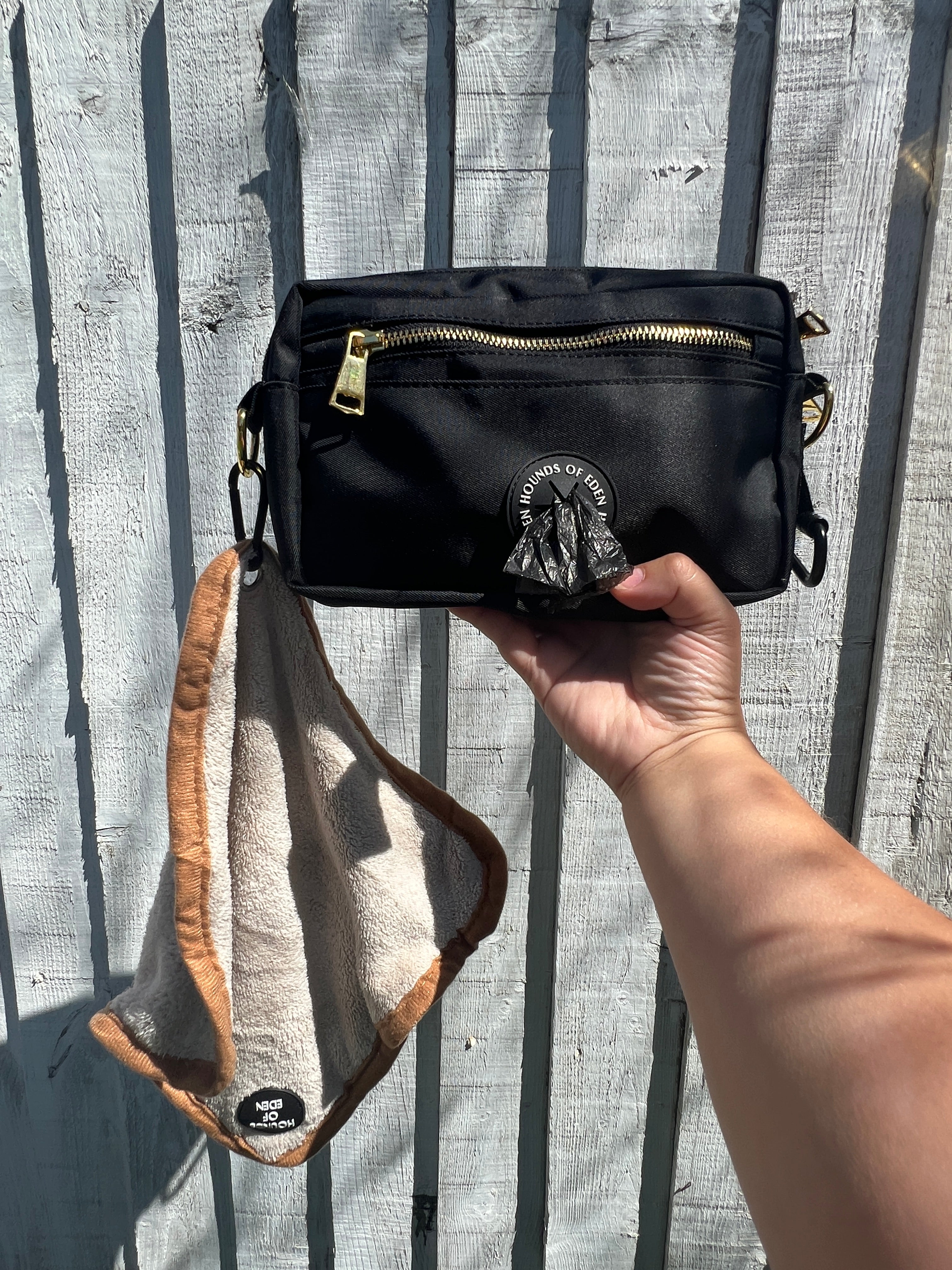 Mini Dog Towel + Clip, Blue & Green