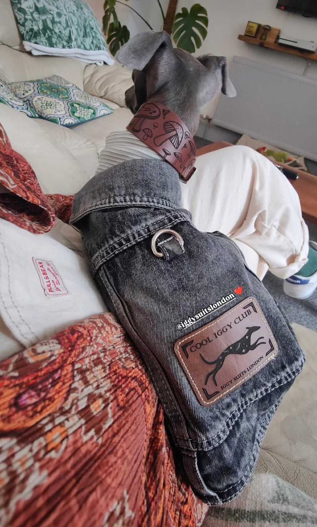 Leather Collar - Mushroom