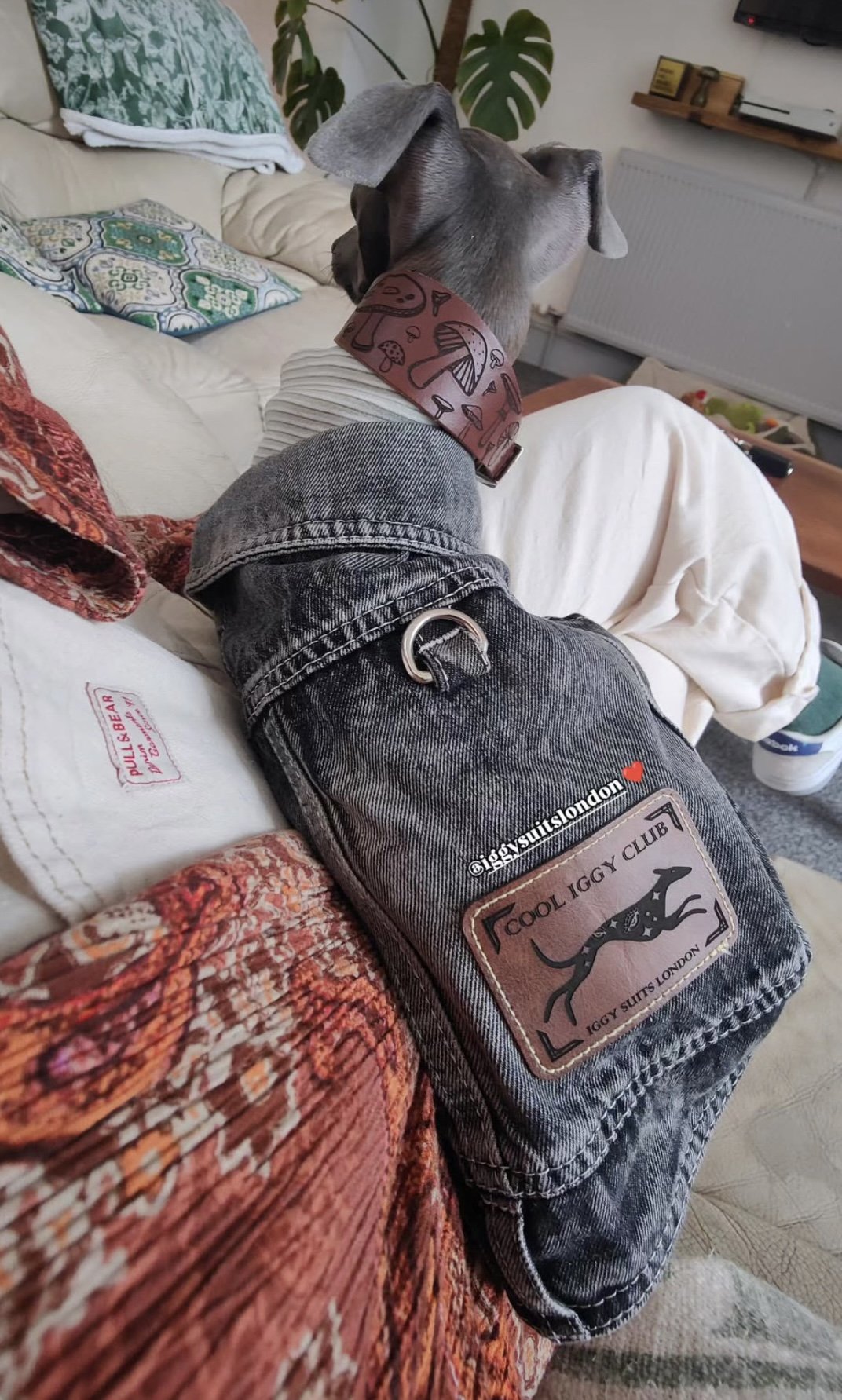 Leather Collar - Mushroom