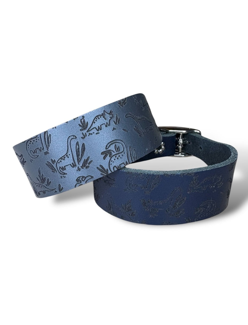 Leather Collar - Dinosaurs