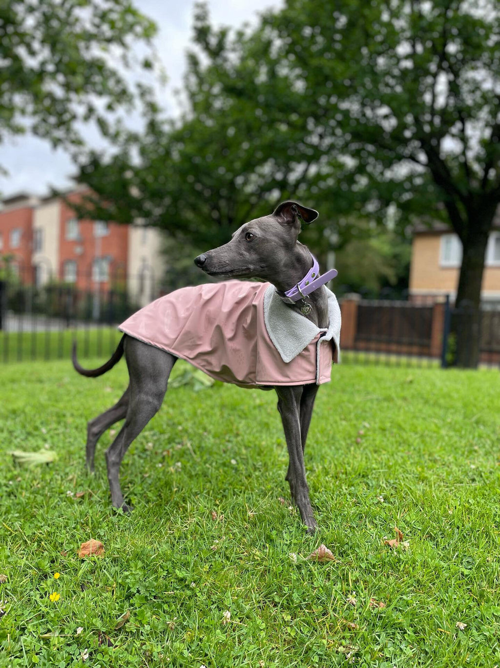 Rain Mac - Blush Pink Submarines