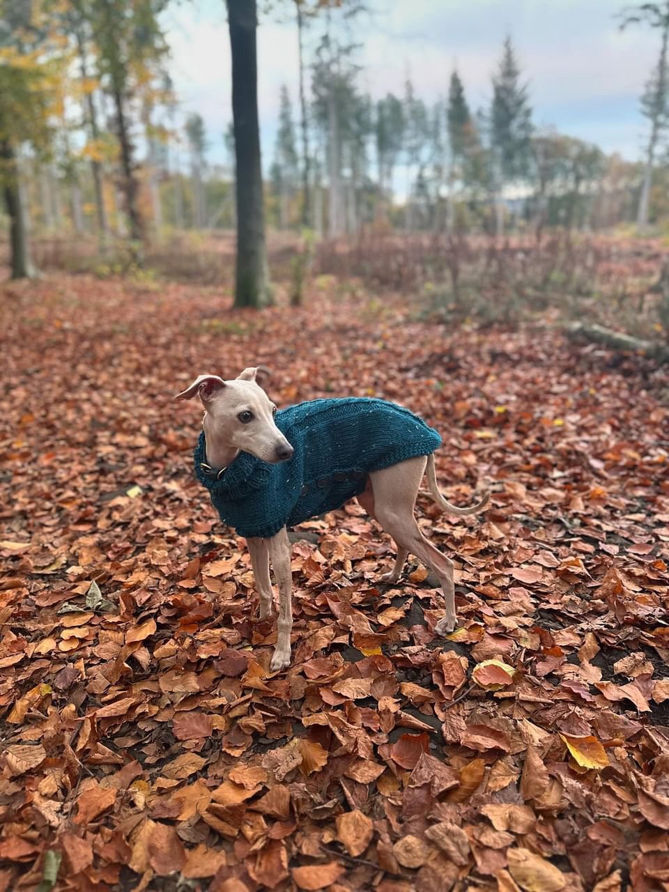 Knitted Coat - Button Up - Monochrome