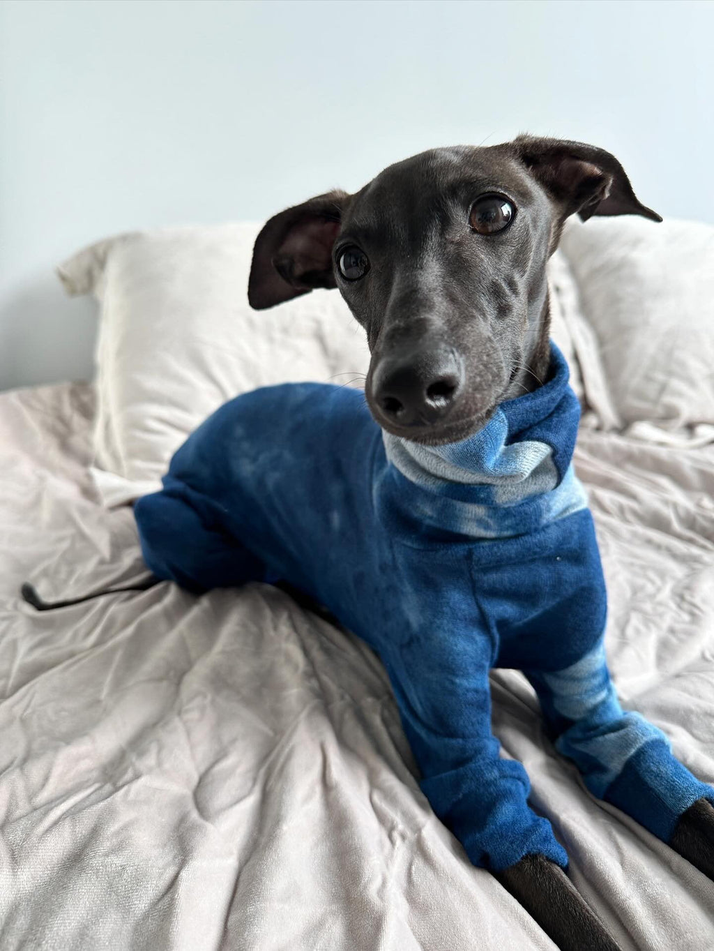Blue Tie Dye Woolly Jersey