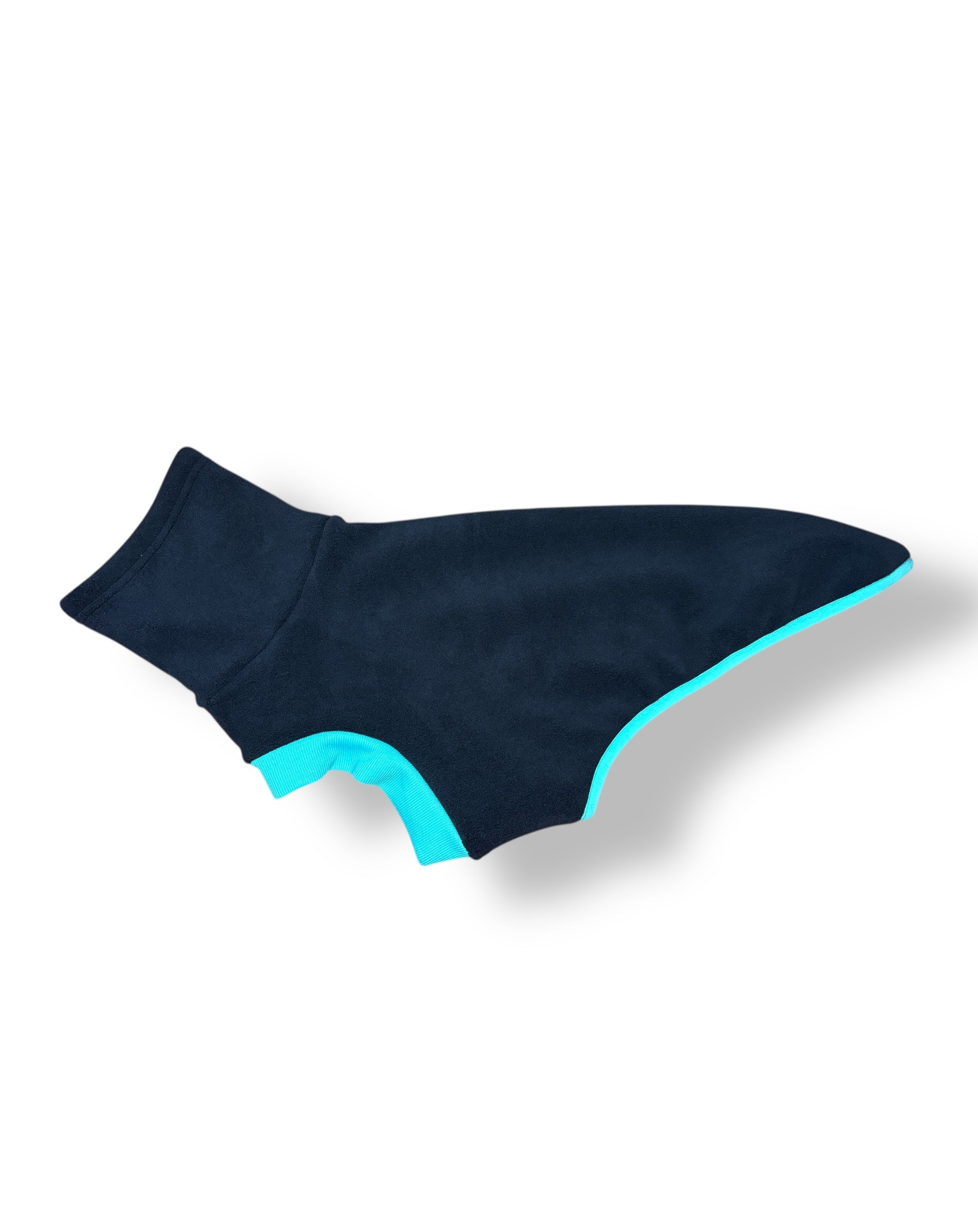 Black dog coat with blue trim on a white background