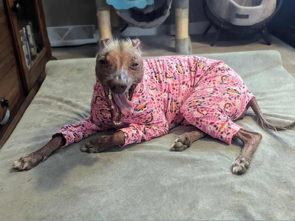 Dog wearing pink pajamas with a pattern, lying on a bed.
