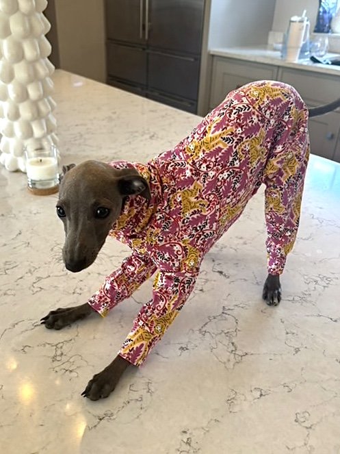 Jersey Suit - Cheeky Monkey