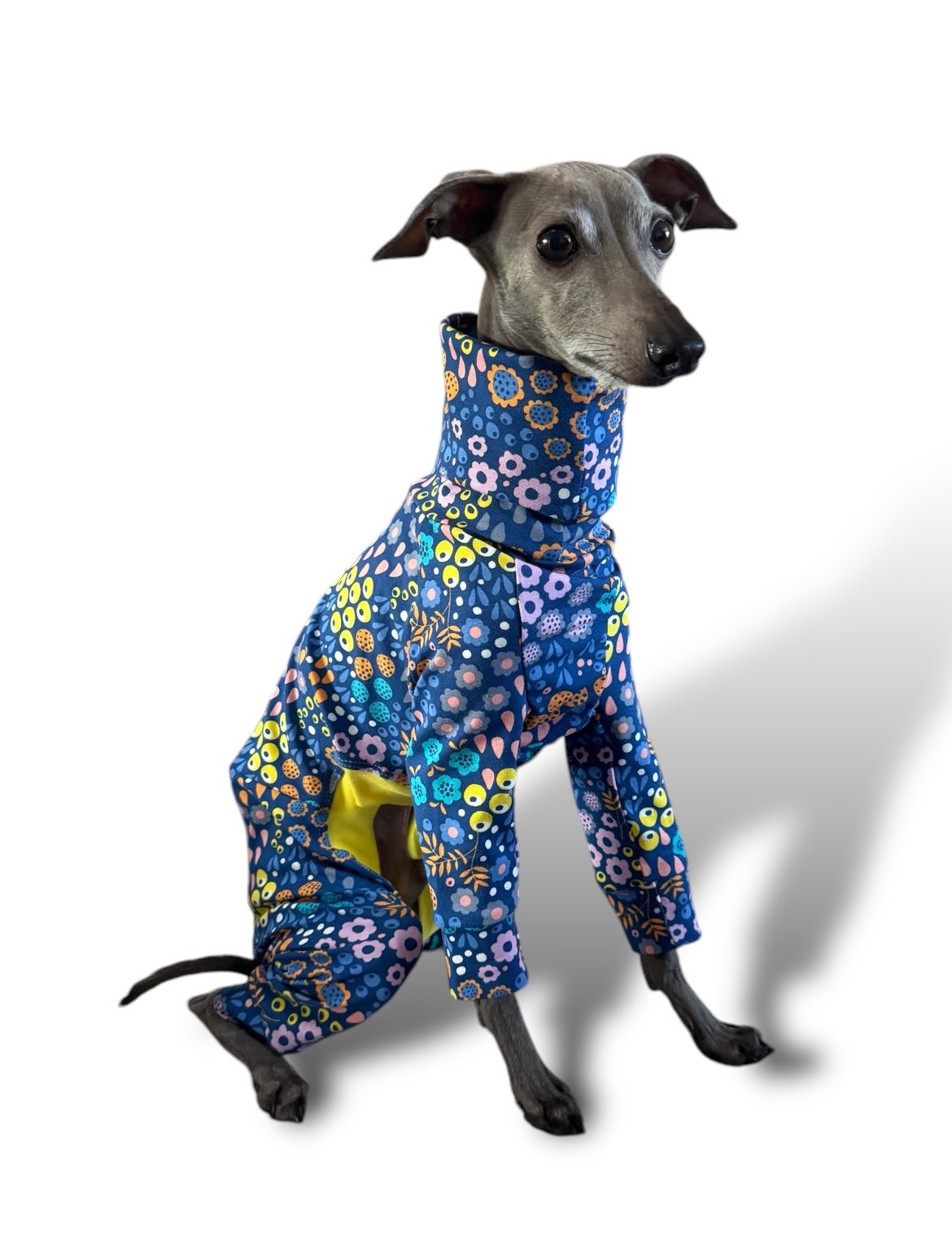 Jersey Suit - Bright Florals