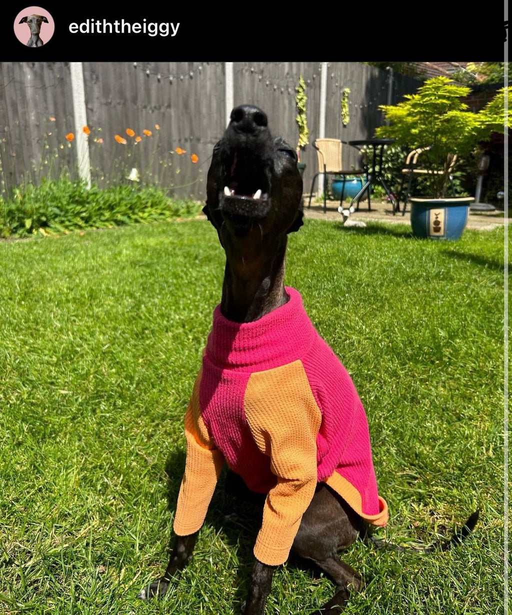 Ribbed Jersey T-Shirt - Fuchsia