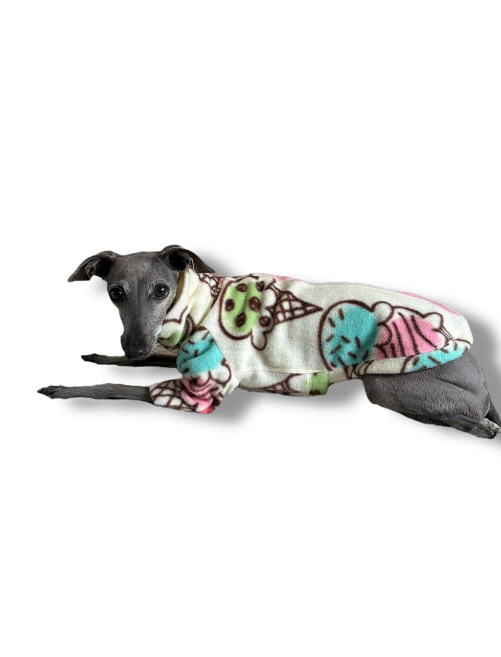 Dog wearing a colorful ice cream-themed onesie on a white background