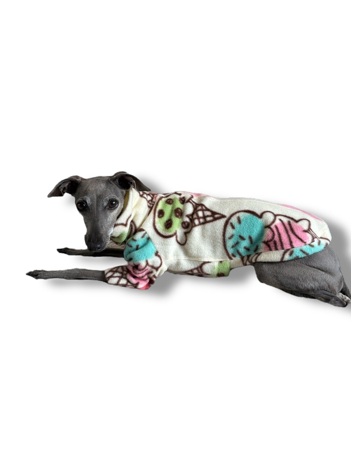 Dog wearing a colorful ice cream-themed onesie on a white background