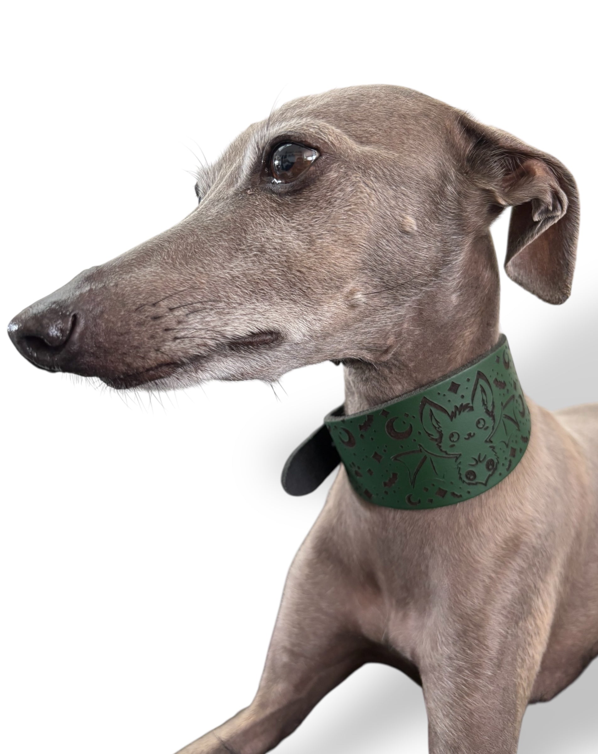 Leather Collar - HALLOWEEN - The Moonlit Bat