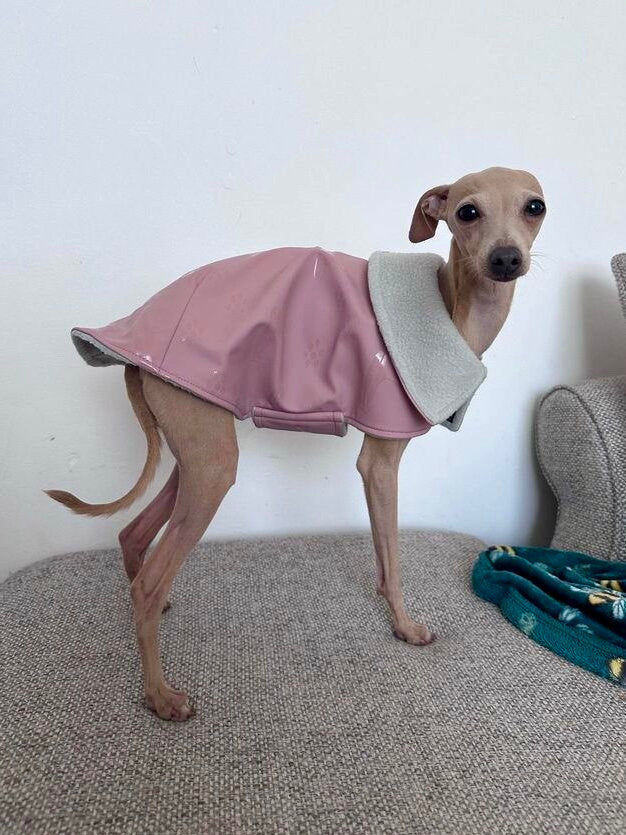 Rain Mac - Blush Pink Submarines