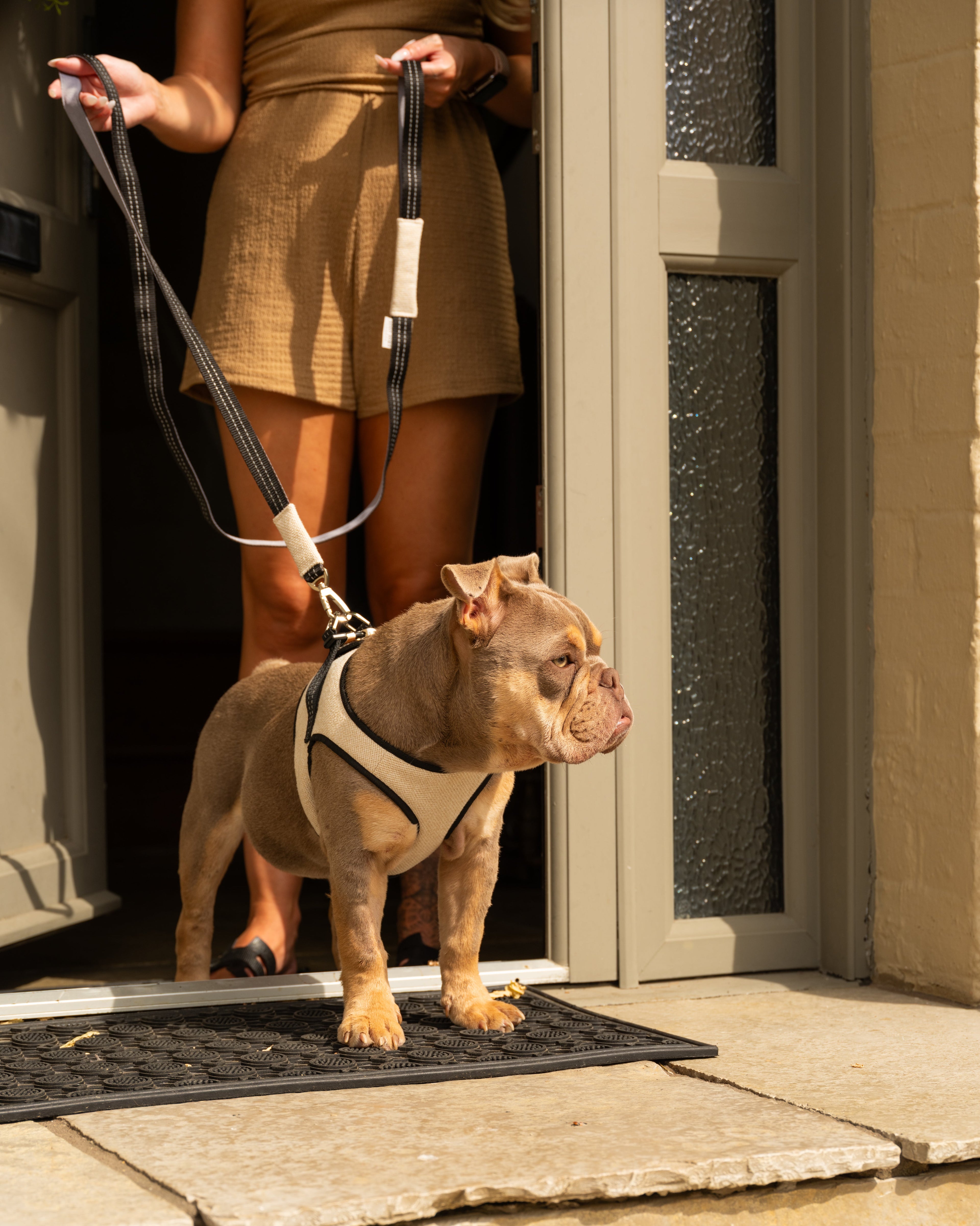 Soho Poms x Bowl & Bone Republic Mayfair Harness - Cream