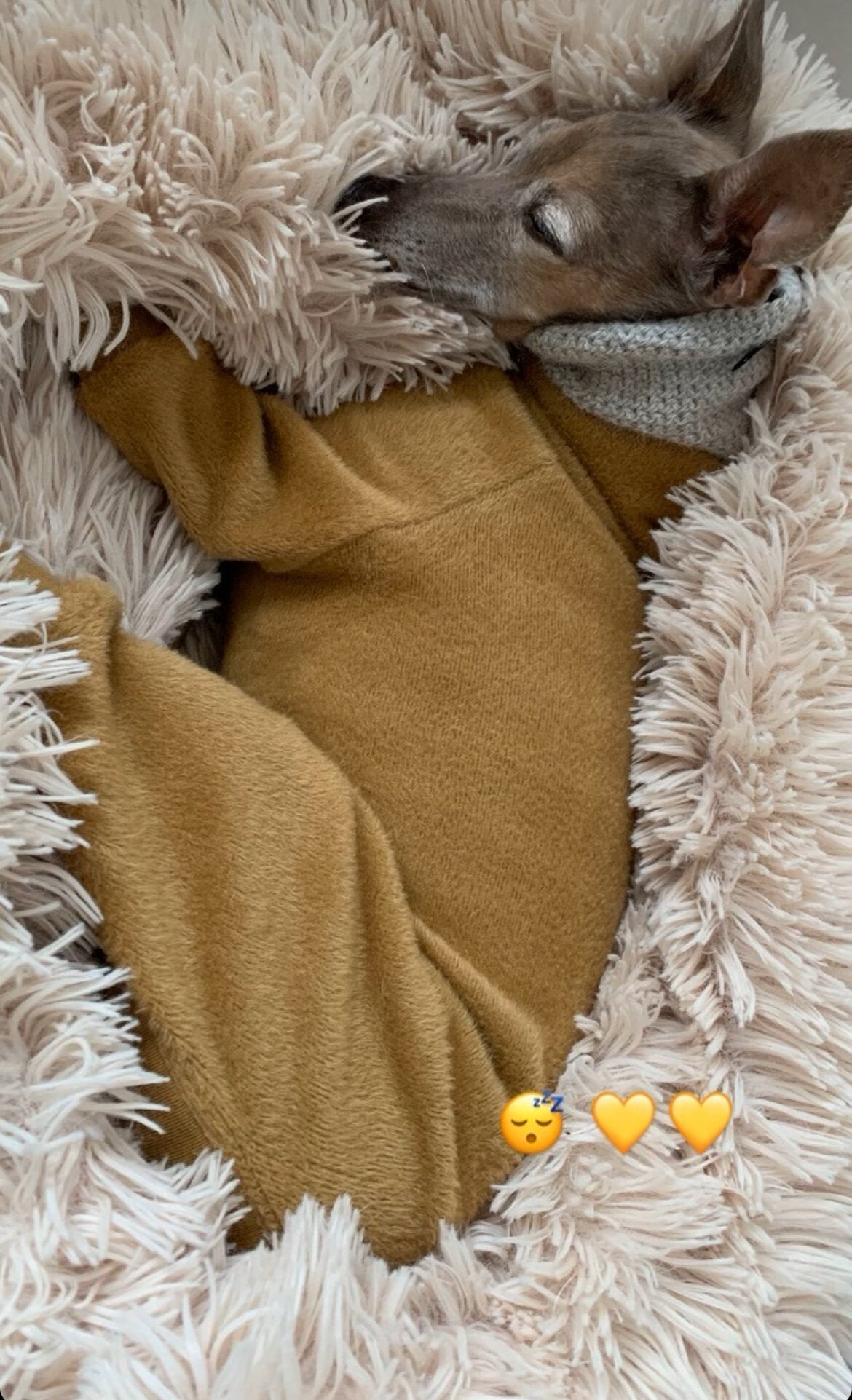 Fleece Lined Sweatshirt - Honey Yellow