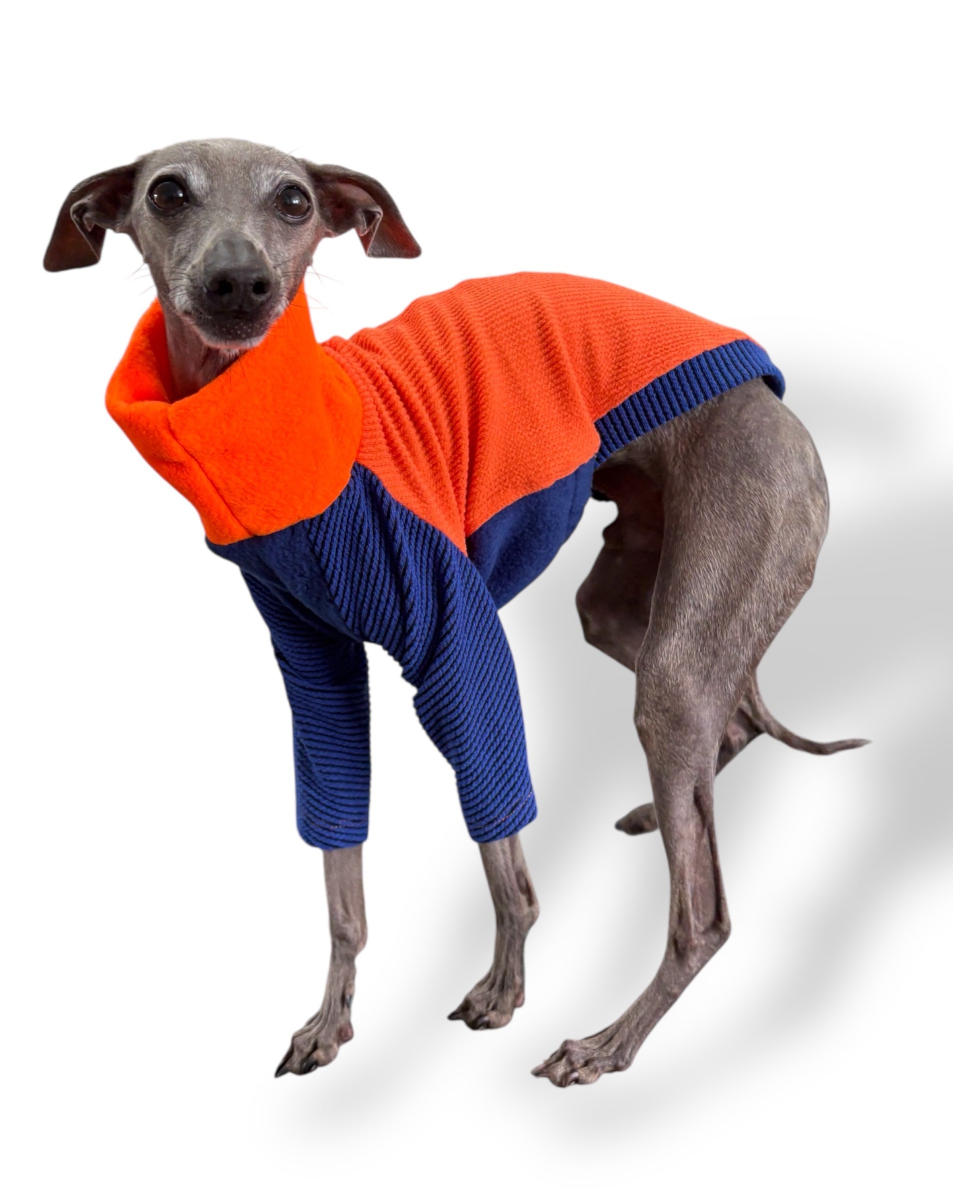 Ribbed Jersey & Fleece T-Shirt - Tropicana