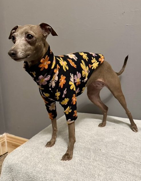 Fleece Lined Sweatshirt Jumper - Flower Power