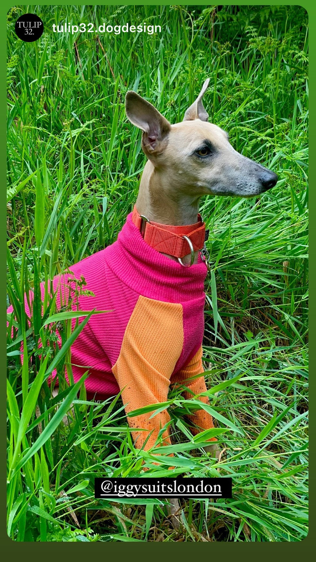 Ribbed Jersey T-Shirt - Fuchsia