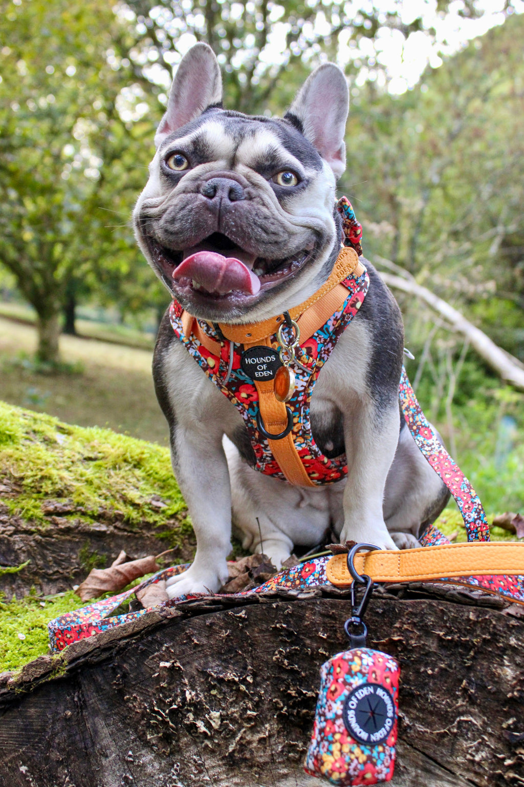 Retro Bloom Leather Dog Lead