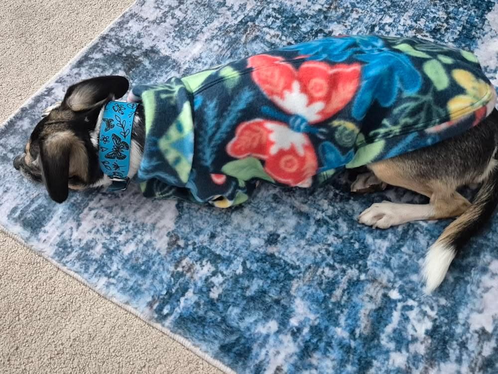 Dog wrapped in a floral blanket on a textured rug