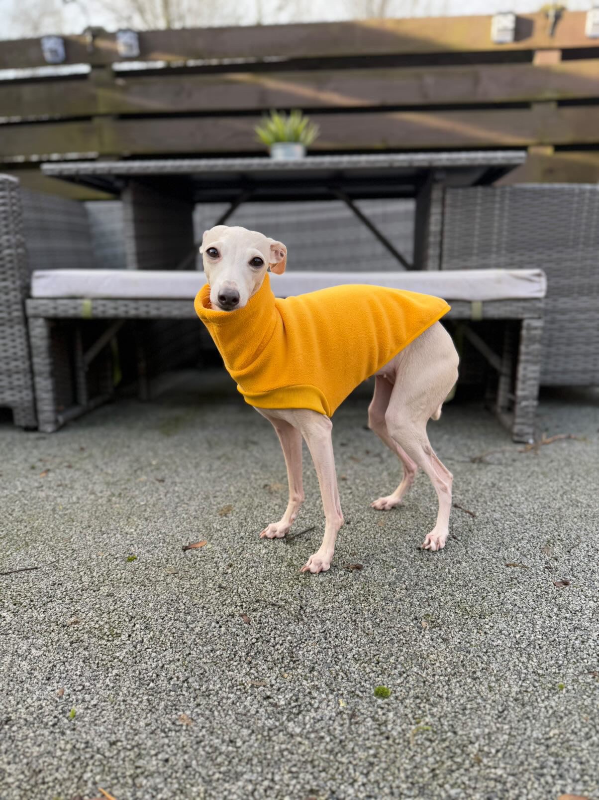 Open-Leg Fleece Vest - Coral
