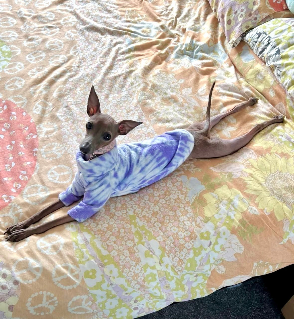 Dog wearing a tie-dye hoodie lying on a bed with a floral pattern