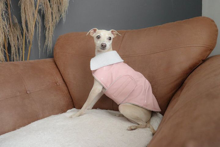 Rain Mac - Blush Pink Submarines