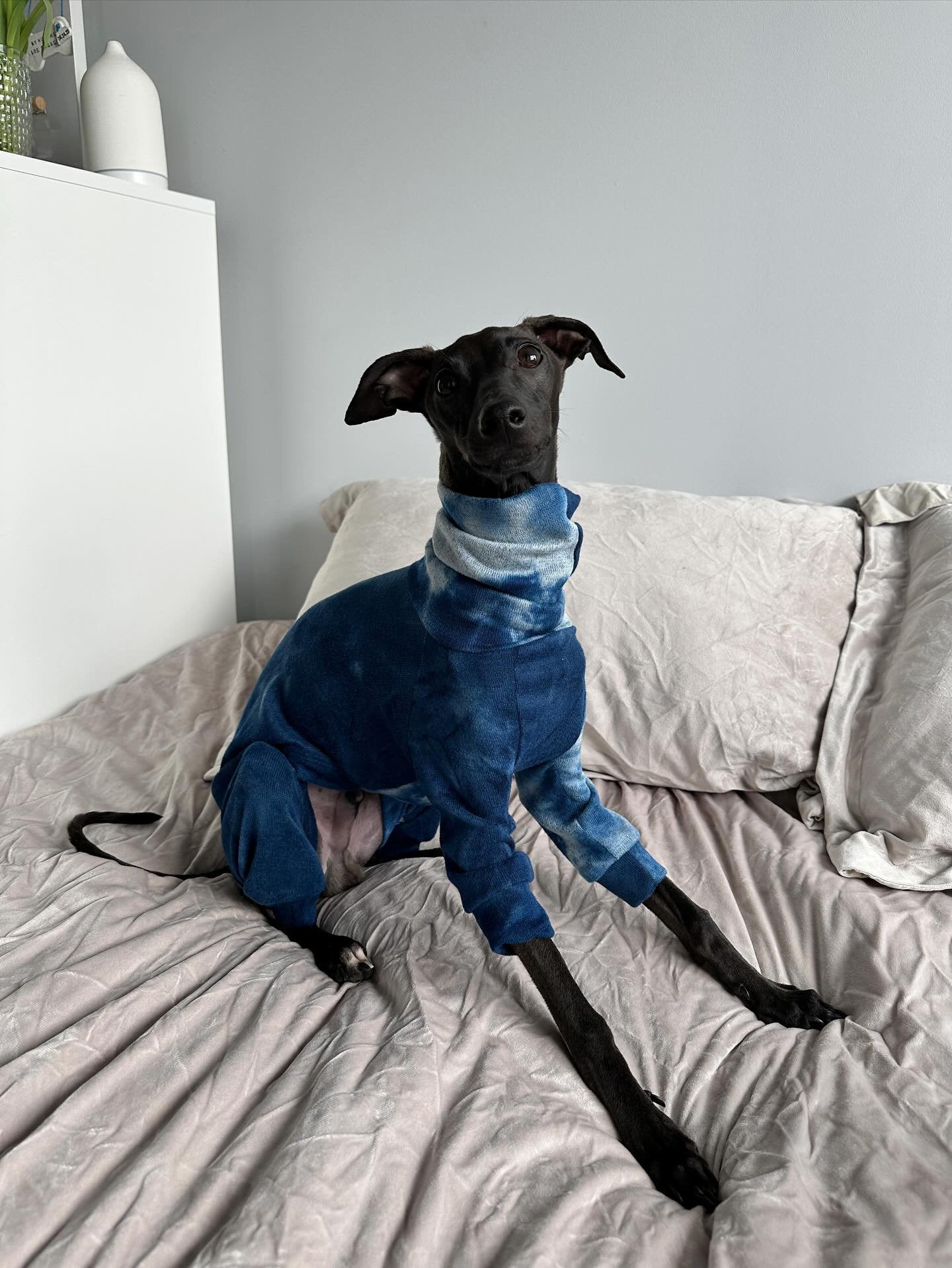 Blue Tie Dye Woolly Jersey