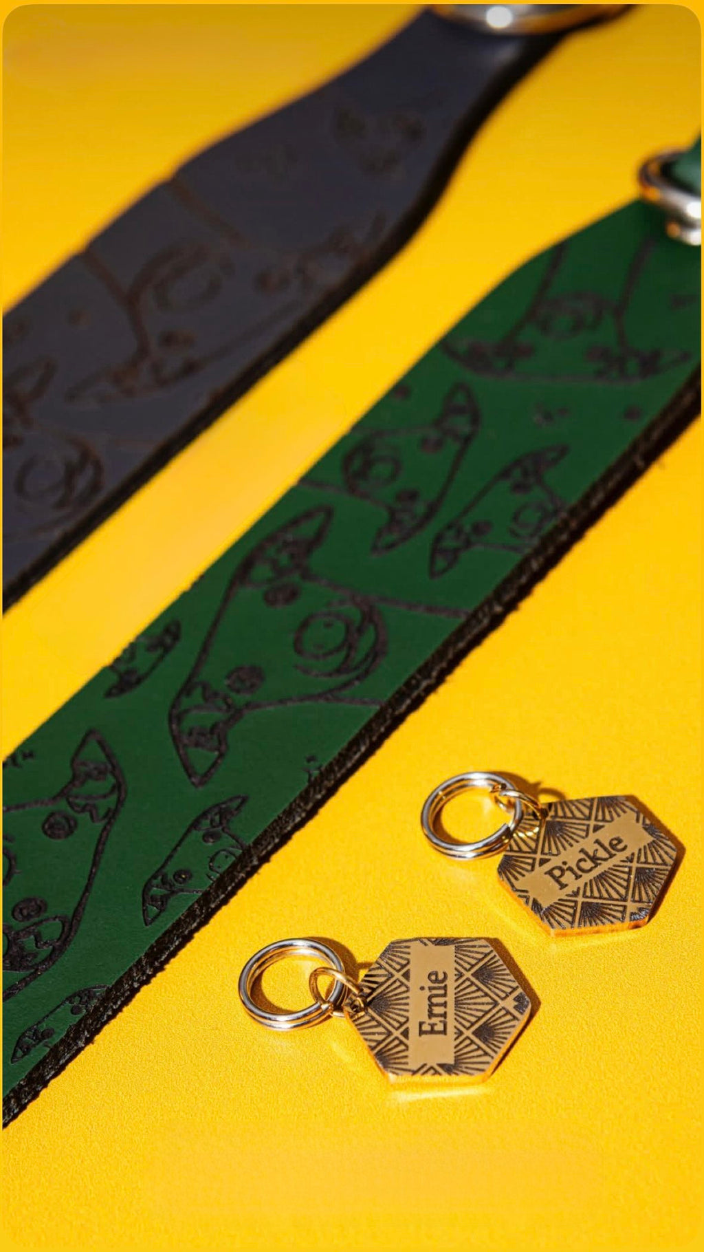 Leather Collar - Hounds