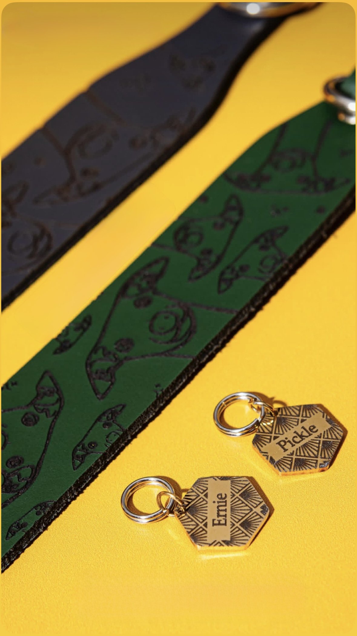 Leather Collar - Hounds