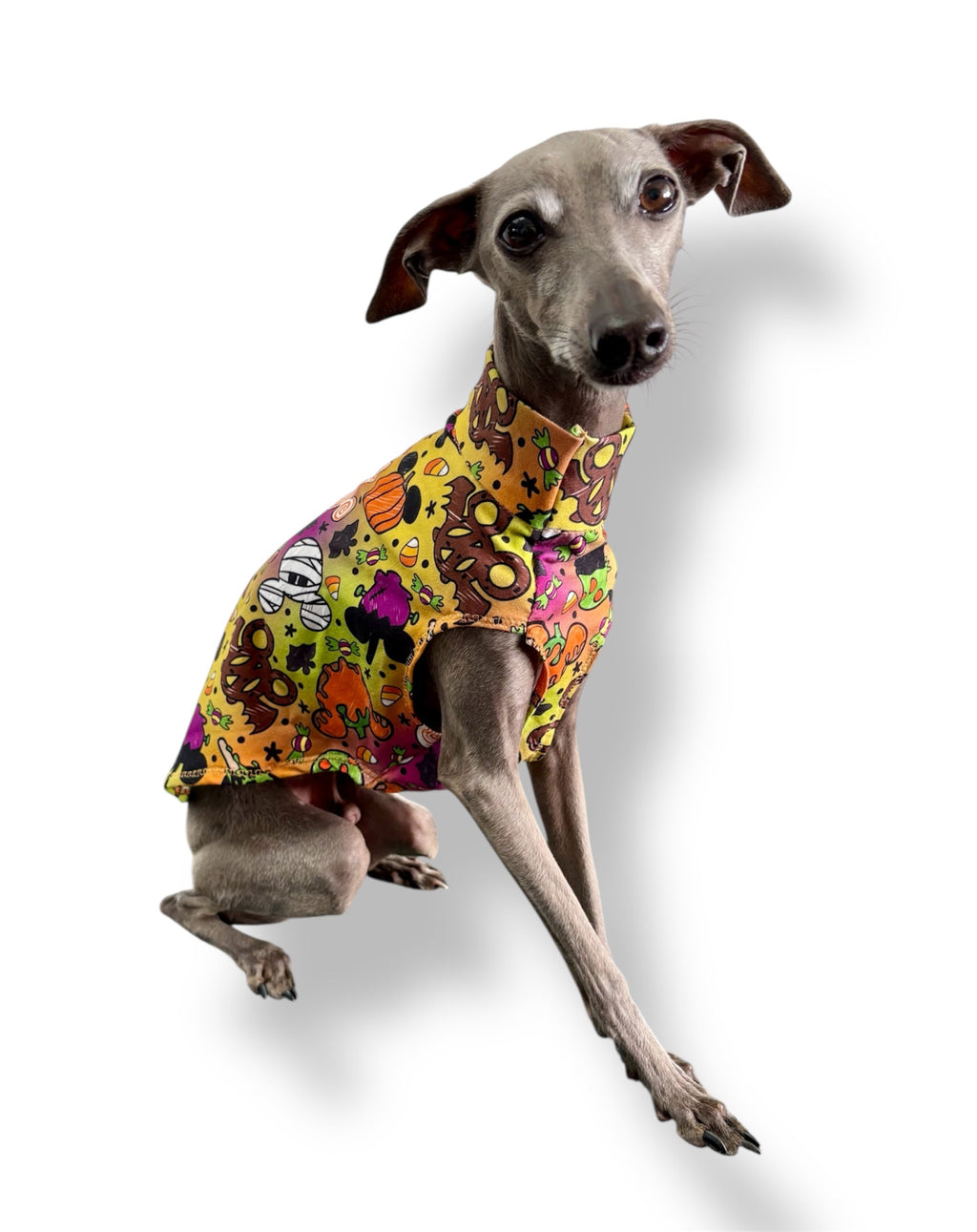 Jersey Vest - Halloween Disney