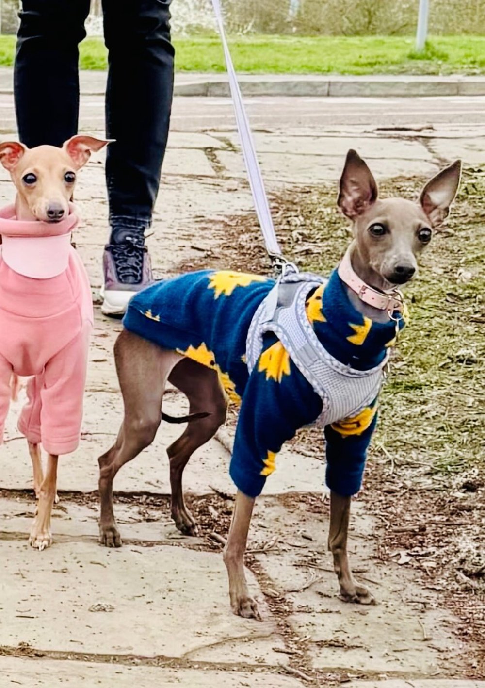 Fleece Jumper - Ice Creams