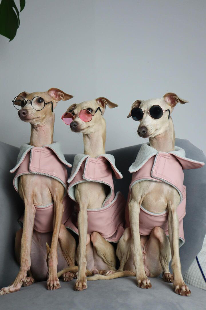 Rain Mac - Blush Pink Submarines