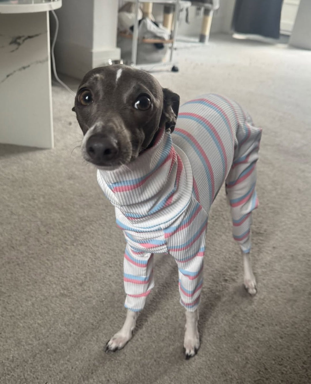 Ribbed Jersey Suit - Pink & Blue Stripe